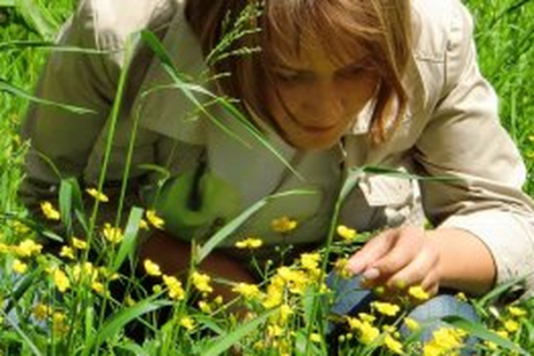 Як попередити алергію?