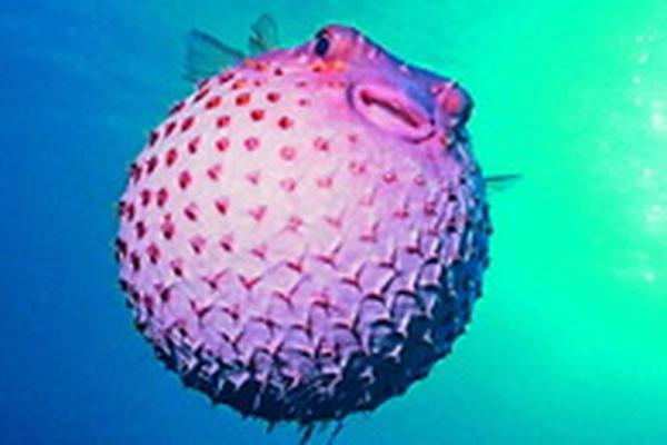 Як прибрати роздувся живіт?