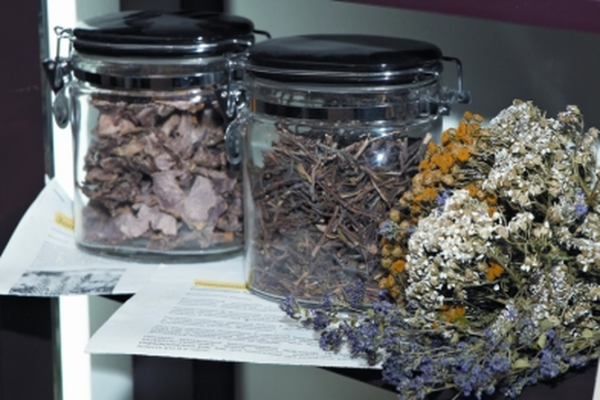 Фітотерапія як спосіб боротьби з хворобами